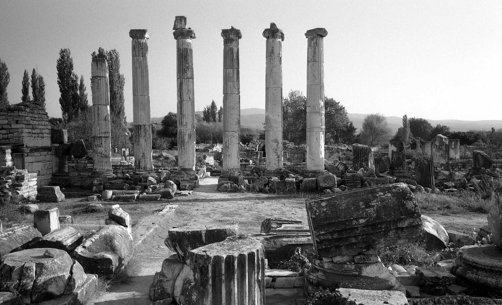 Aphrodisias 11, TR