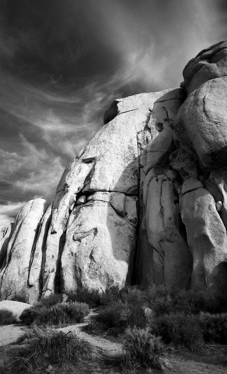 Jashua Tree NP 4, CA