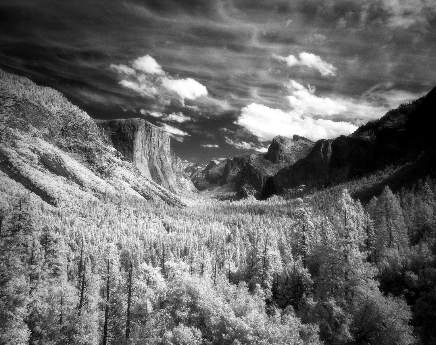 Yosemite NP 1, CA