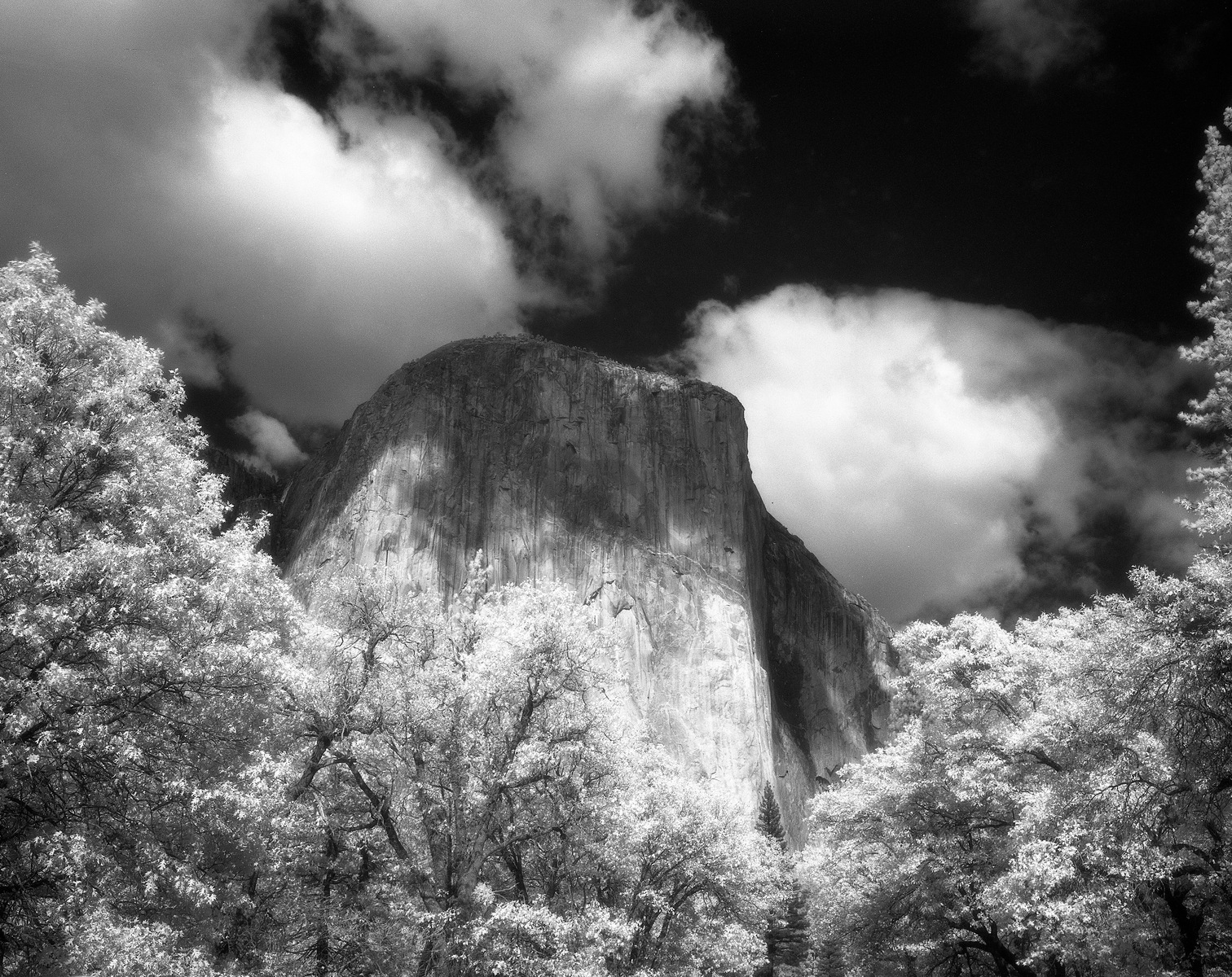 Yosemite NP 2, CA