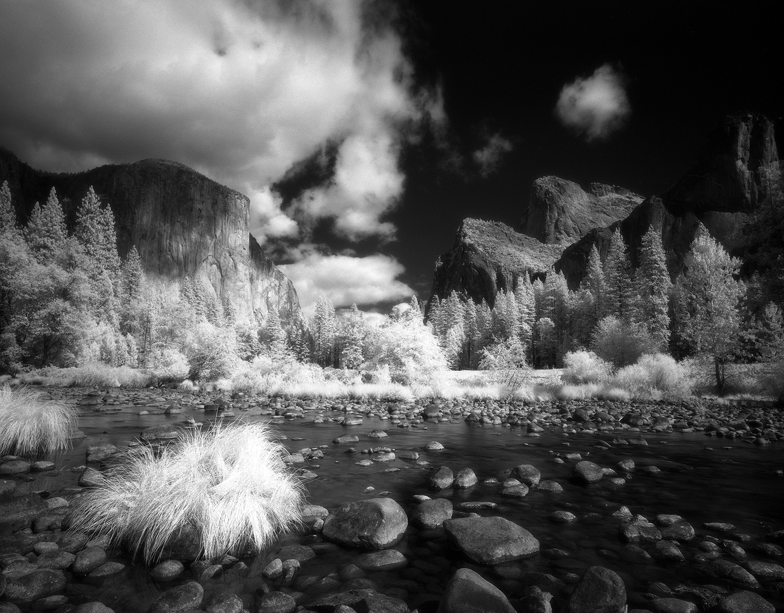 Yosemite NP 5, CA